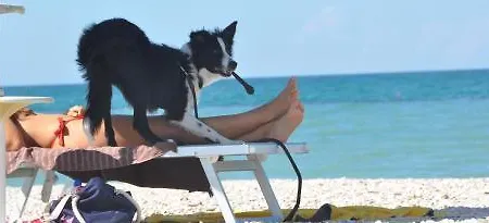 Ancore 3* 西尼加利亚